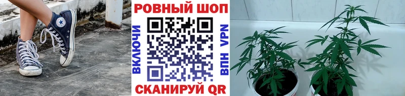 Хочу наркоту Ржев А ПВП Канабис ОМГ ОМГ ссылки ГАШ Мефедрон