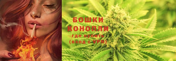 тгк Михайловск