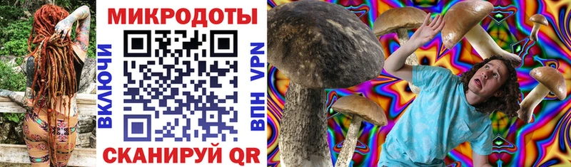 Псилоцибиновые грибы Magic Shrooms  что такое   Ржев 