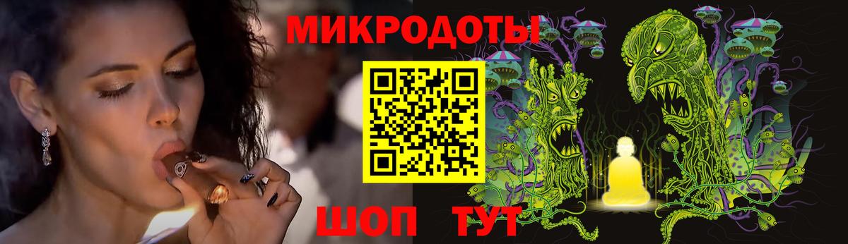 Псилоцибиновые грибы Psilocybe  Псилоцибиновые грибы мицелий  Вход с VPN  Ржев 